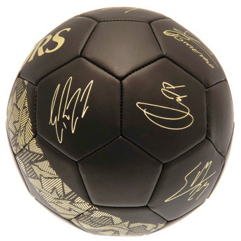 Tottenham Hotspur balon de fotbal Signature Gold PH size 5