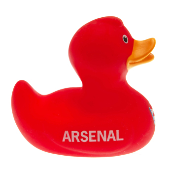 FC Arsenal rață pentru cadă red