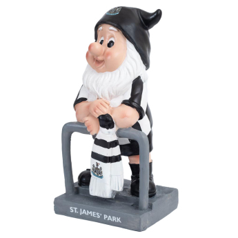 Newcastle United pitic Terrace