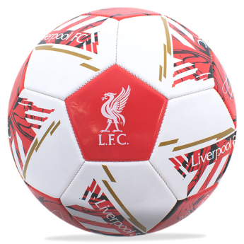 FC Liverpool set de fotbal water bottle - hand pump - size 5 ball