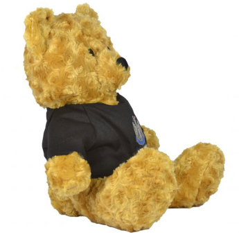 Newcastle United jucărie de pluș Honey Bear