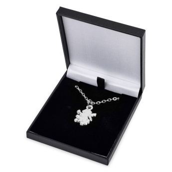 Aston Villa lănțișor de gât cu pandantiv Silver Plated Boxed Pendant LN