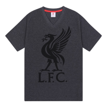 FC Liverpool pijamale de bărbați SLab grey