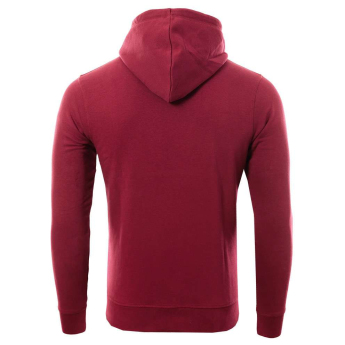 Bayer 04 Leverkusen hanorac de bărbați cu glugă Logo burgundy