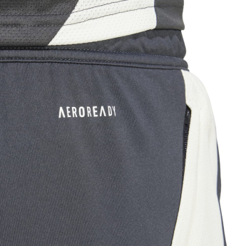Manchester United pantaloni scurți de fotbal EU Training carbon