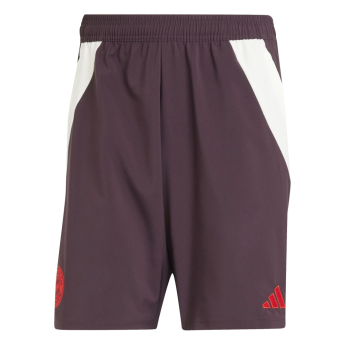 Bayern München pantaloni scurți de fotbal Downtime