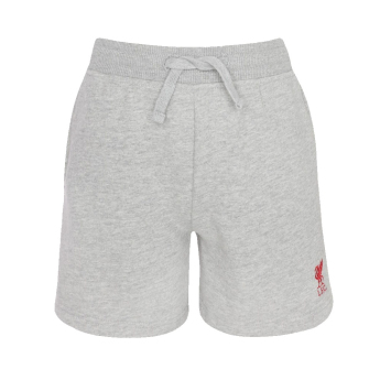 FC Liverpool pantaloni scurți de copii Sweat grey