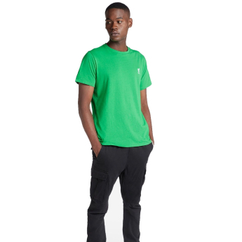 FC Liverpool tricou de bărbați Embroidered green