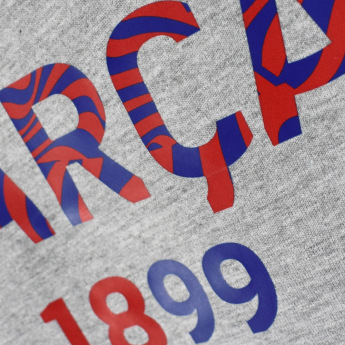 FC Barcelona tricou de bărbați Biescut grey