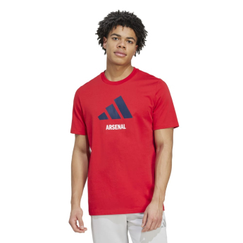 FC Arsenal tricou de bărbați Seasonal Graphic red