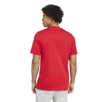 FC Arsenal tricou de bărbați Seasonal Graphic red