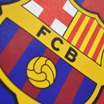 FC Barcelona hanorac de bărbați cu glugă Bandera grey