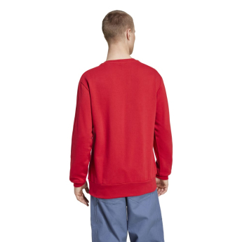 Bayern München hanorac de bărbați DNA Sweat red