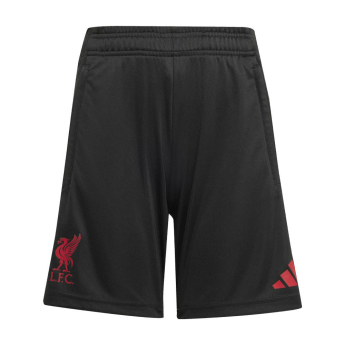 FC Liverpool pantaloni scurți de trening pentru copii black