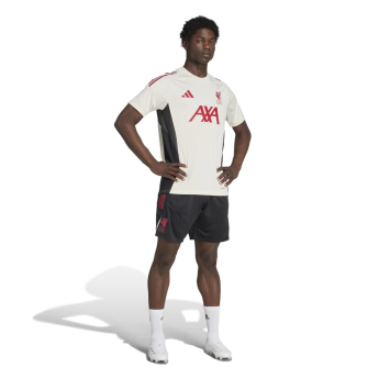 FC Liverpool pantaloni scurți de bărbați Tiro Training