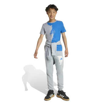 Jude Bellingham pantaloni de copii Light grey
