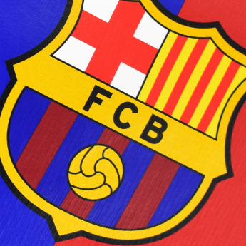 FC Barcelona hanorac de bărbați cu glugă Camp Nou