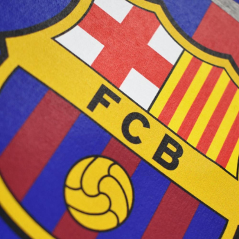 FC Barcelona hanorac cu glugă pentru copii Camp Nou grey