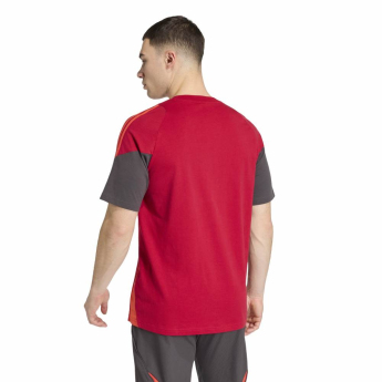 FC Liverpool tricou de bărbați Tiro Tee red