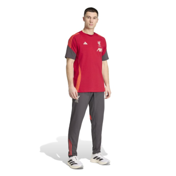 FC Liverpool tricou de bărbați Tiro Tee red