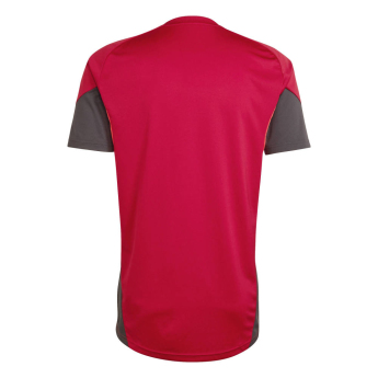 FC Liverpool tricou de antrenament pentru bărbați Tiro red