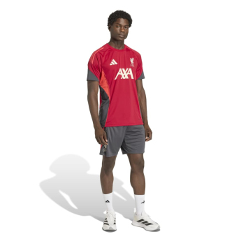 FC Liverpool tricou de antrenament pentru bărbați Tiro red