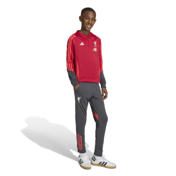 FC Liverpool hanorac cu glugă pentru copii Track red