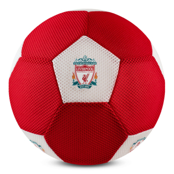 FC Liverpool minge Mesh
