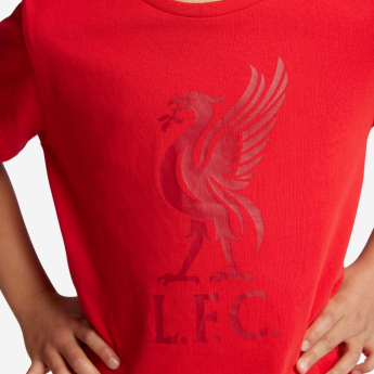 FC Liverpool tricou de copii liverbird red