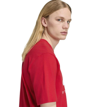 Bayern München tricou de bărbați DNA Graphic red