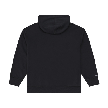 Boston Bruins hanorac de bărbați cu glugă NHL Street Graphics Core Hoodie