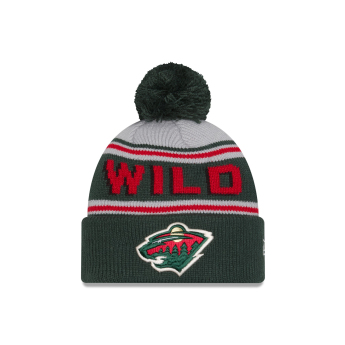 Minnesota Wild căciulă de iarnă NHL Pom Wordmark