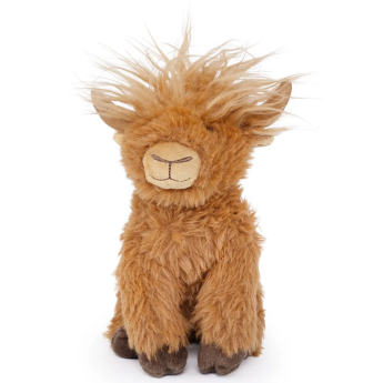 Rangers Highland Cow