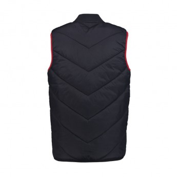 Red Bull Racing vestă de bărbați navy F1 Team 2018