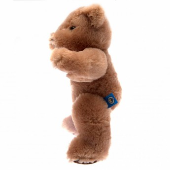 Manchester City ursuleț de pluș George Bear