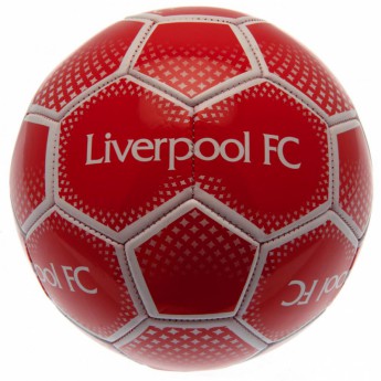 FC Liverpool balon de fotbal Football DM