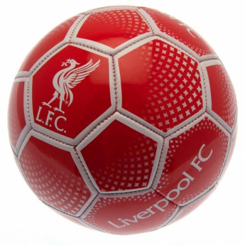 FC Liverpool balon de fotbal Football DM
