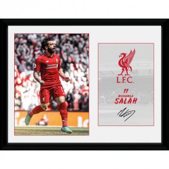 FC Liverpool poză în ramă 11Salah 16 x 12