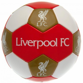 FC Liverpool balon de fotbal Football - size 3