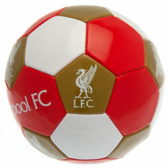 FC Liverpool balon de fotbal Football - size 3